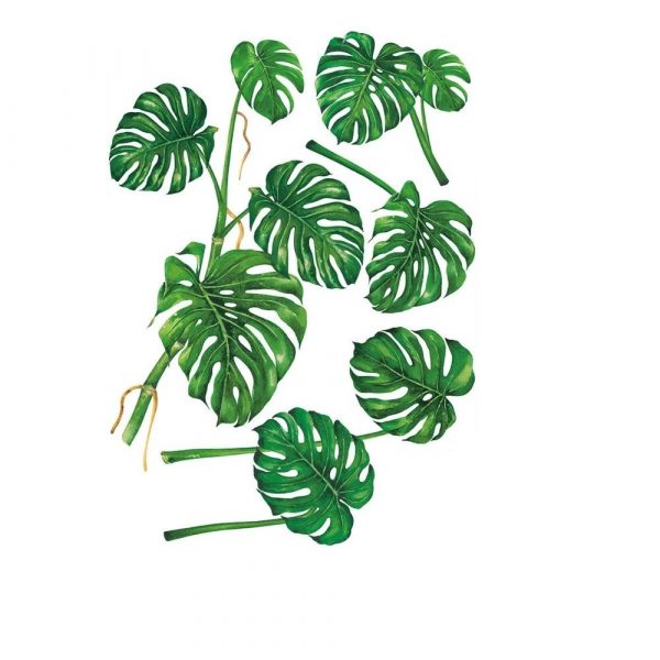 Sticker decorativ pentru perete, model Frunze, 50×70 cm, culoare verde