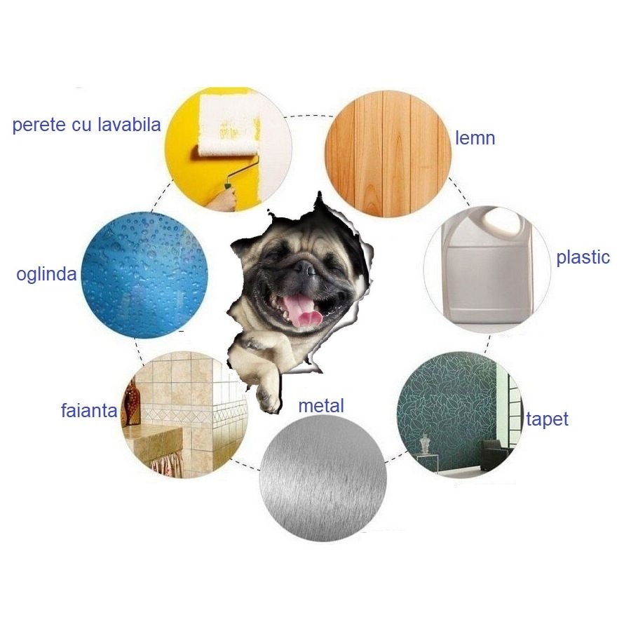 Sticker decorativ Catel 3D, pentru perete sau alte suprafete, 21x31 cm - imagine 6