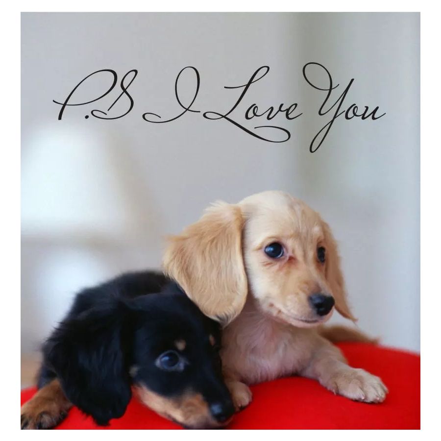 Sticker decorativ cu mesaj, PS I Love You, 15x57 cm, culoare negru - imagine 6
