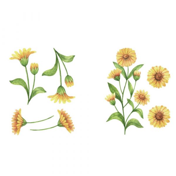 Sticker decorativ cu Margarete, 6 coli autocolante, 14.8×21 cm, galben/verde