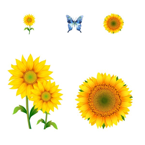 Stickere decorative cu Floarea soarelui si 6 fluturasi, 4 coli cu dimensiune 30×45 cm, galben/albastru