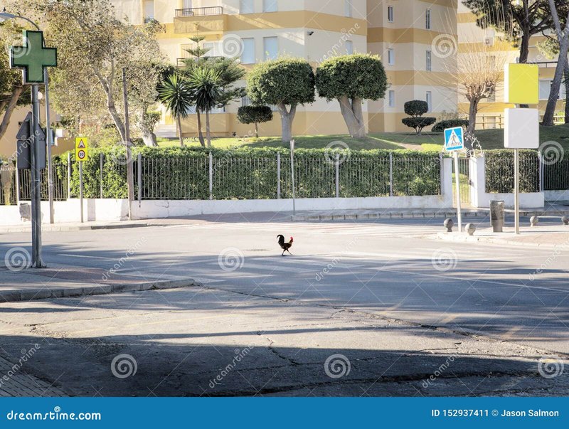 Spain - juego chicken road